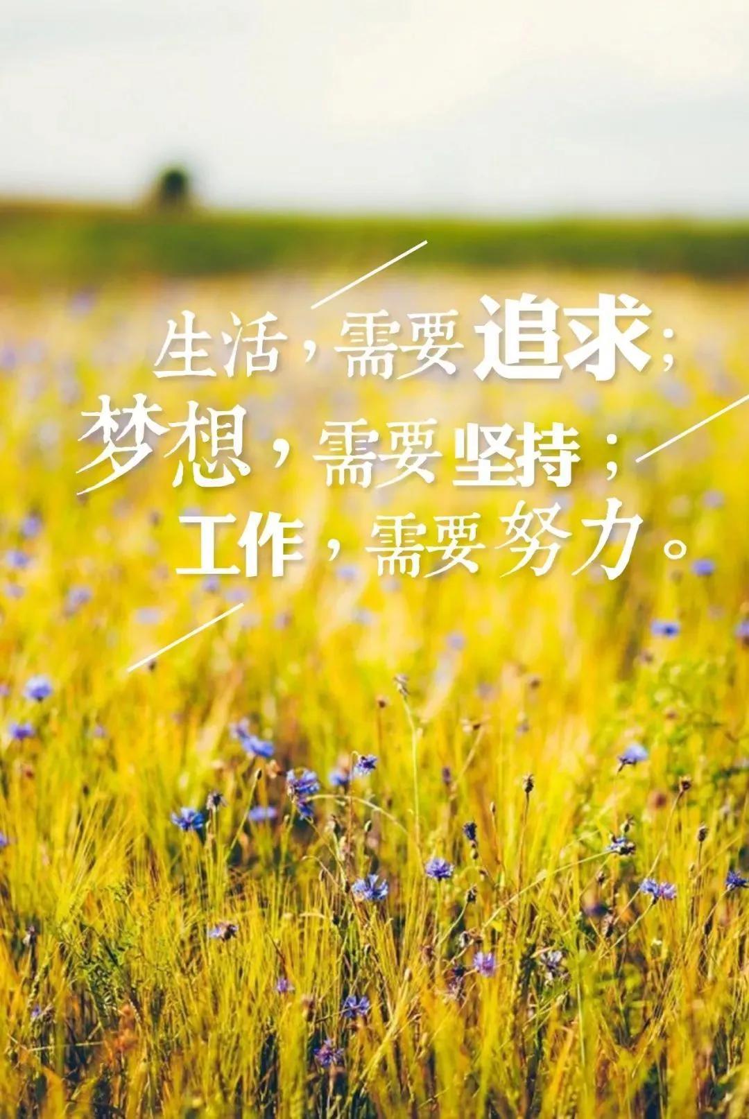 每日奋斗励志心语（多一份努力，多一份成绩）