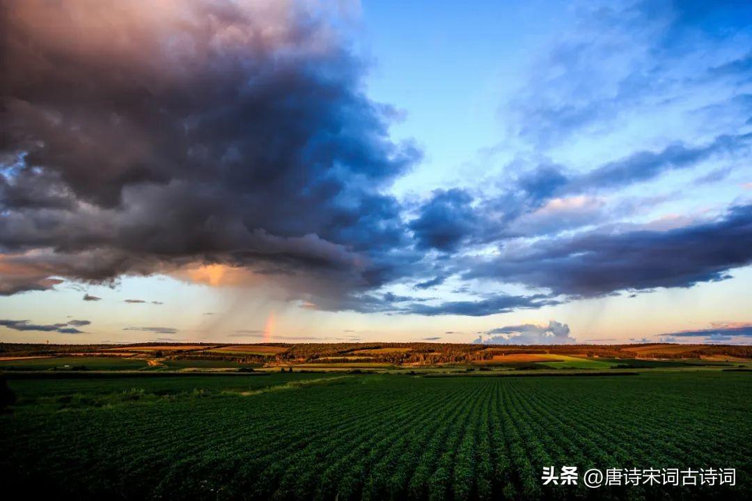 关于雨的诗句大全（描写雨天的古诗）