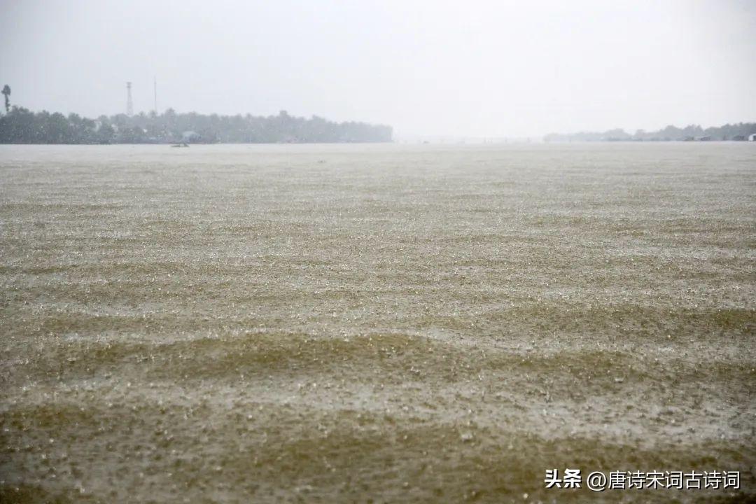 关于雨的诗句大全（描写雨天的古诗）