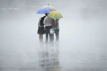 雨中的蓝雨伞优秀作文800字（爸爸的执拗是对我爱的体现）