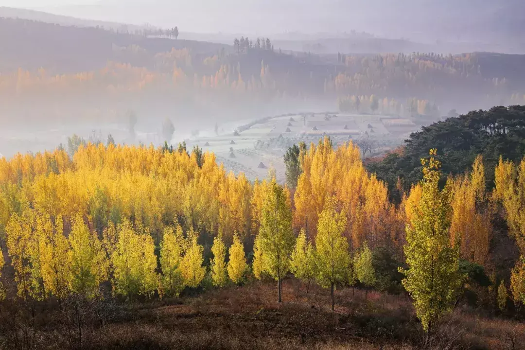 关于处暑的古诗词有哪些（分享15首处暑诗词）