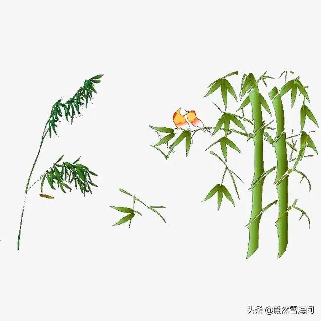 描写竹的诗词名句鉴赏（写竹的古诗大全）