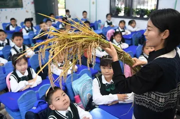 2022世界粮食日珍爱粮食普及工作总结范文（倡议节约世界粮食日科普策划总结范例）