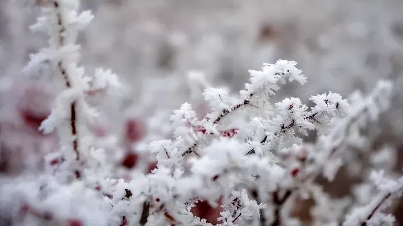 四季优美的诗词（四季流转的唯美诗句）