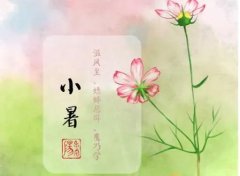 小暑节气的优美句子（描写小暑的唯美句子）