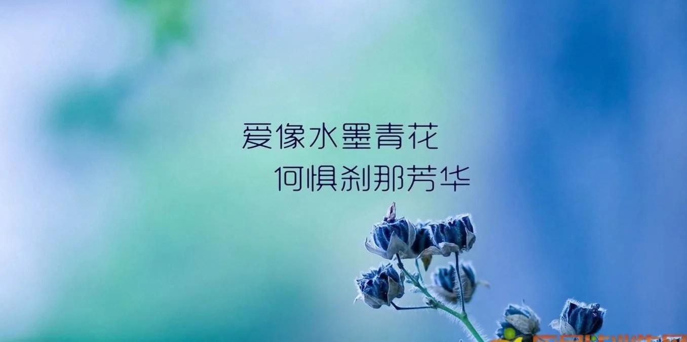 人生佳句感悟经典格言（感悟人生的快乐句子）