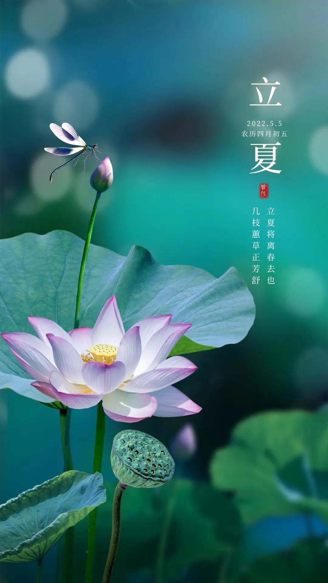 二十四节气立夏祝福文案（立夏问候语大全）