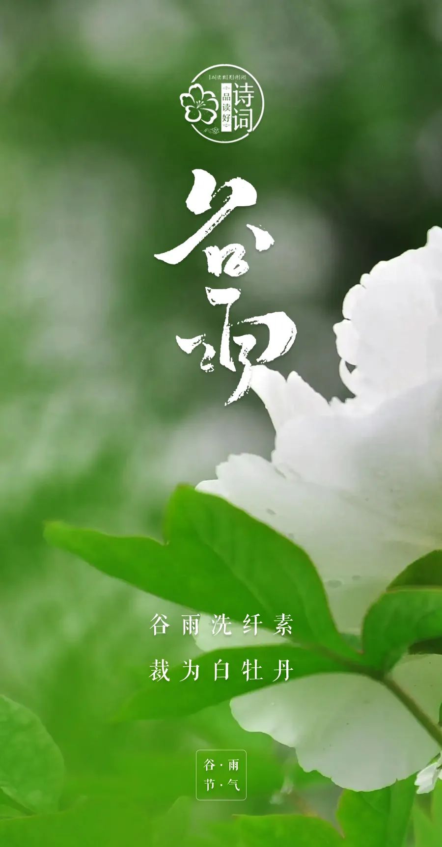 关于谷雨的古诗有哪些（二十四节气谷雨的唯美诗句）