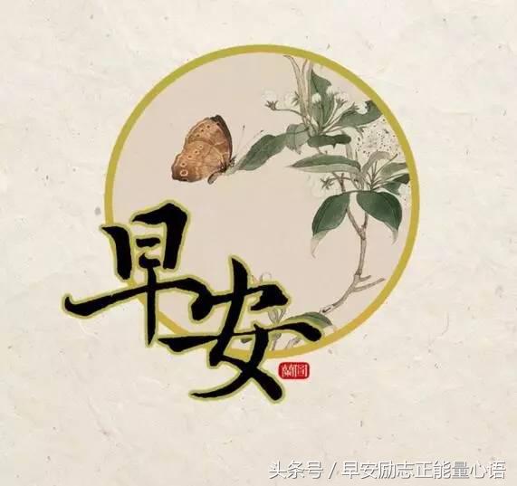 心情依旧晴朗，给自己一个微笑（早安问候祝福语精选）