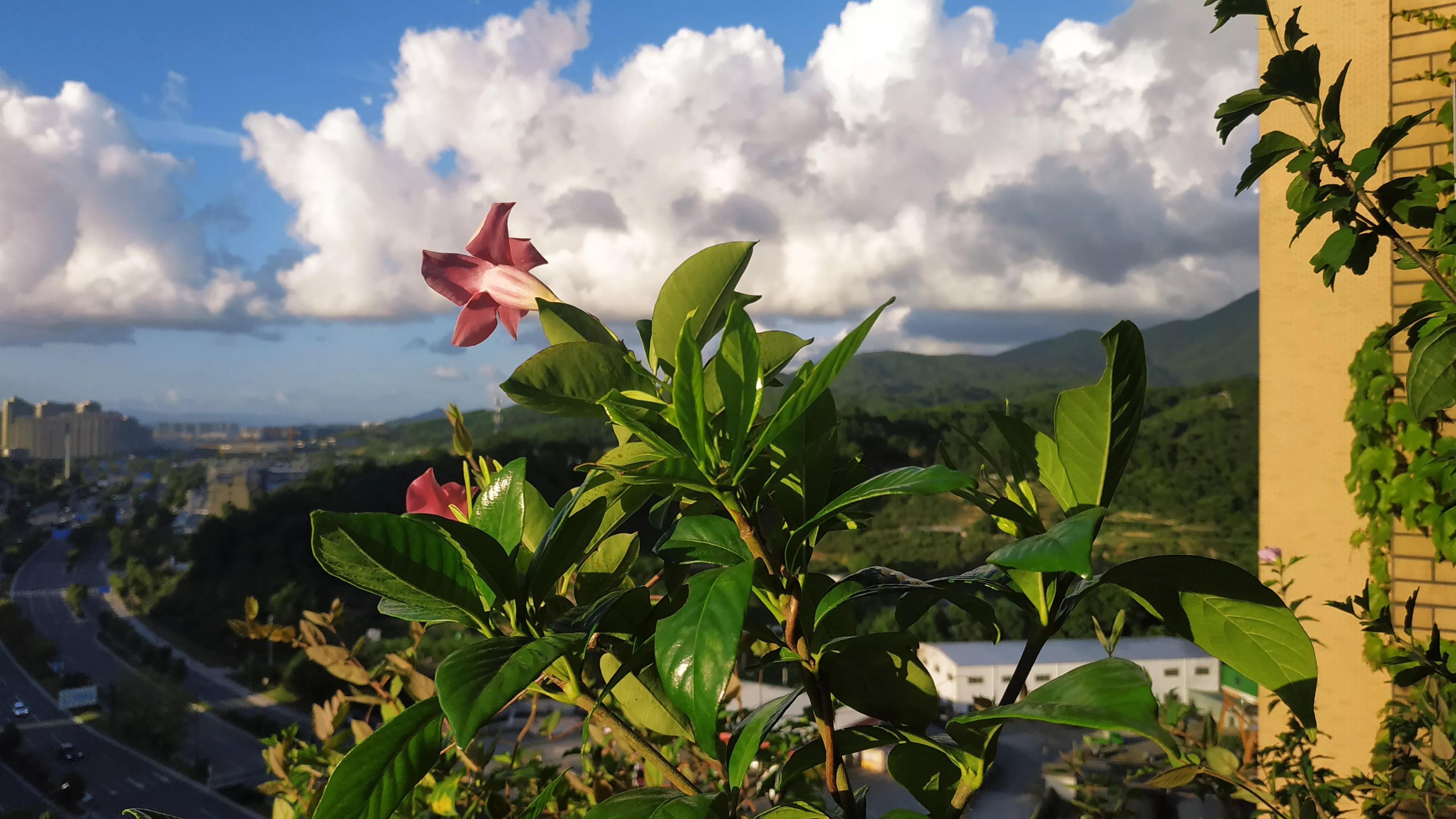 白居易哲理诗词大全（白居易豪情壮志的诗句）