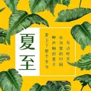 夏至的美好文案（夏至暖心祝福语）