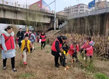 2022立足实际学习雷锋精神活动方案模板（开展学习雷锋志愿服务策划方案范本）