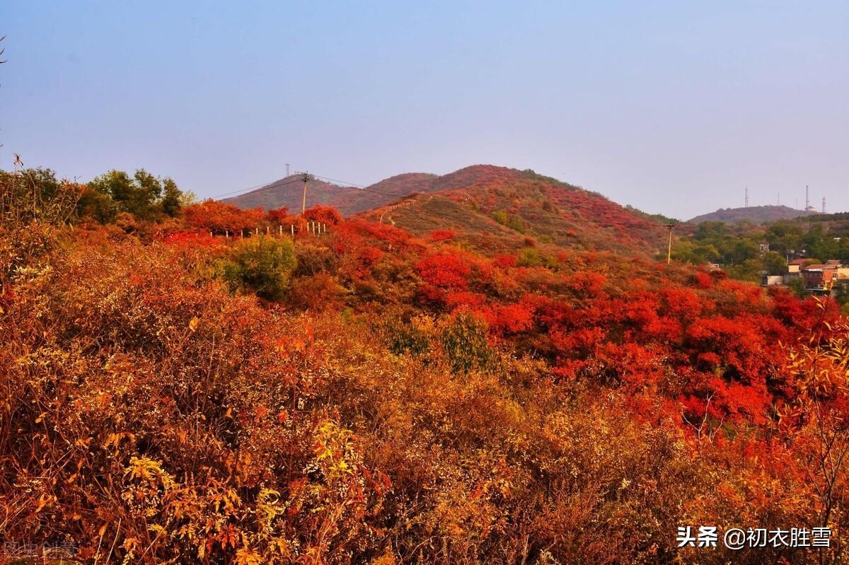 大气孤独的立冬节气古诗（关于立冬的经典古诗词）