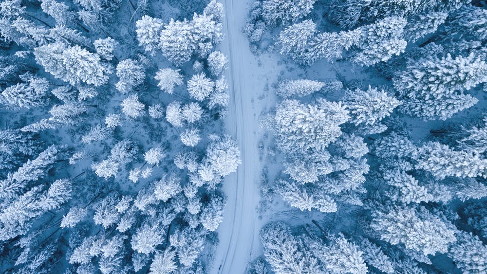 赞美立冬的优美诗词（六首冬雪诗词）