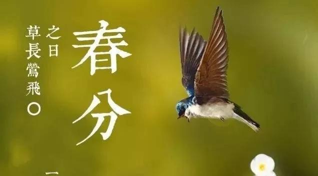 春分节气的祝福语句（春分节气简短祝福语）