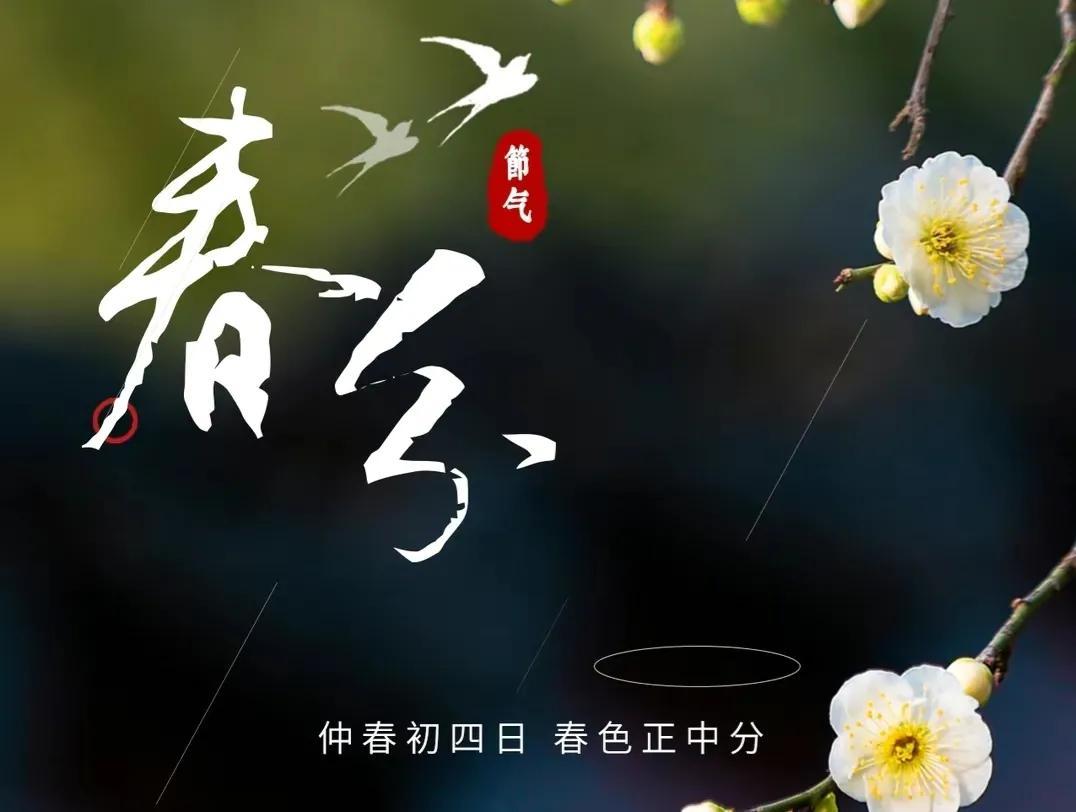 春分节气的祝福语句（春分节气简短祝福语）