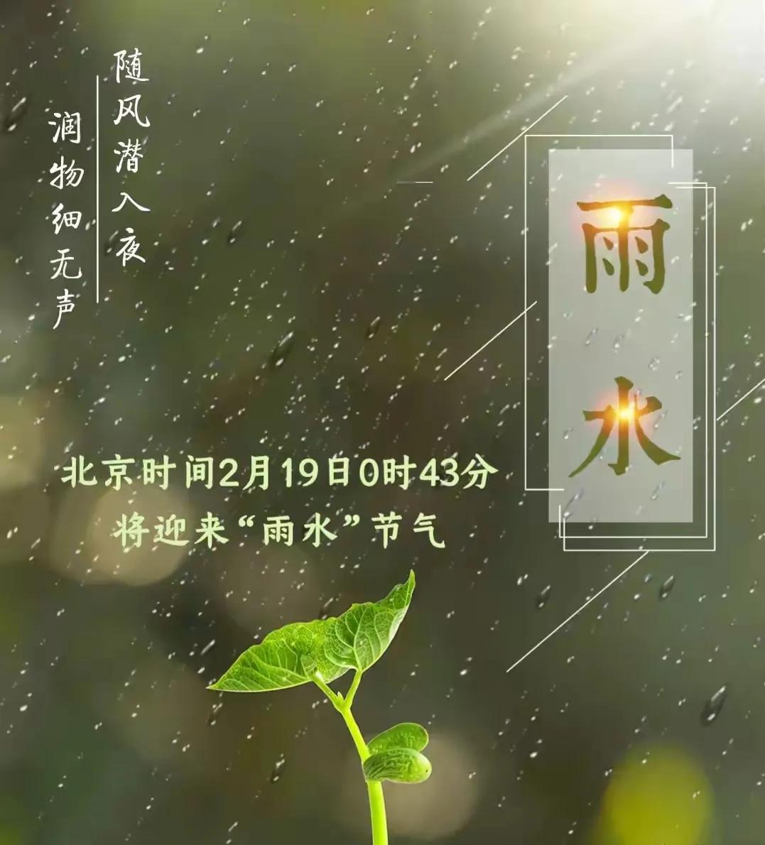 关于雨水节气的祝福文案（雨水节气的优质文案）