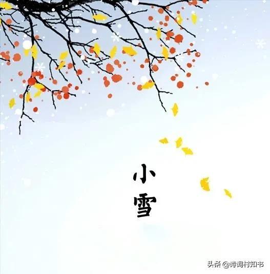 关于小雪的古诗词（小雪节气诗词）