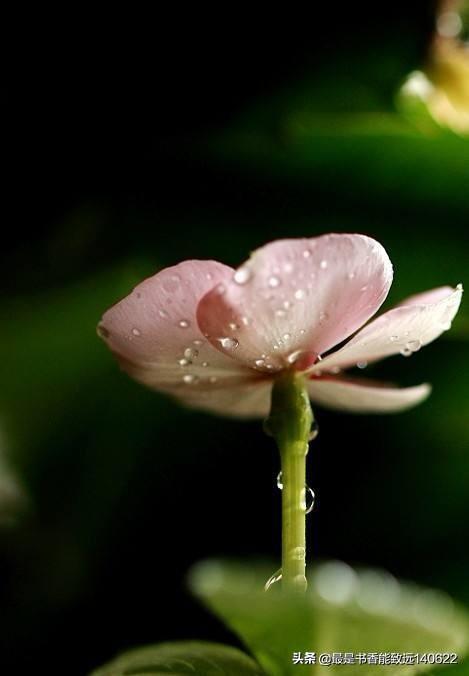 描写夏天的雨的古诗词（初夏下雨的诗词）