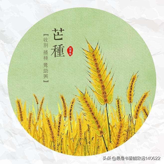 关于芒种美好寓意的古诗句（10首芒种的诗词）