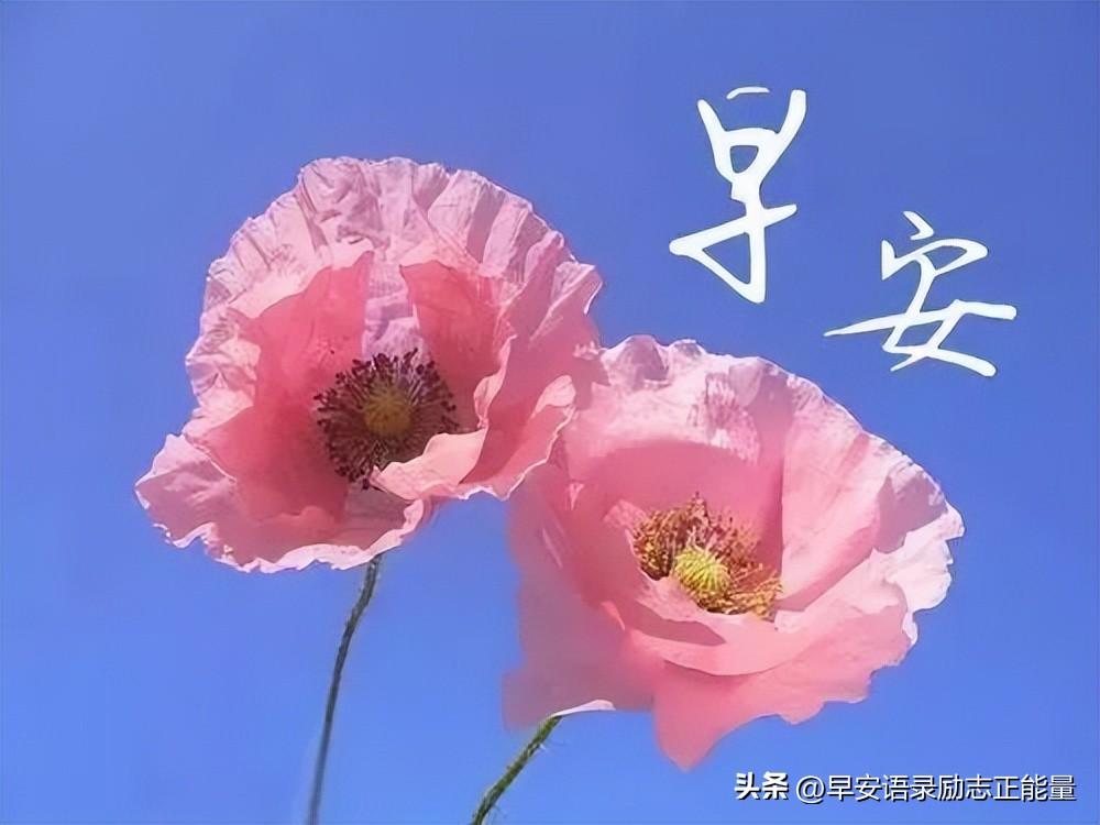 思想有深度，生命有厚度（关于正能量早安语录句子）