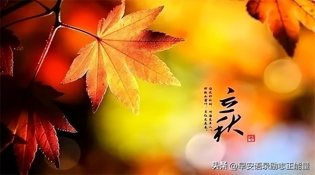 关于立秋祝福语大全（精辟简短立秋问候语）