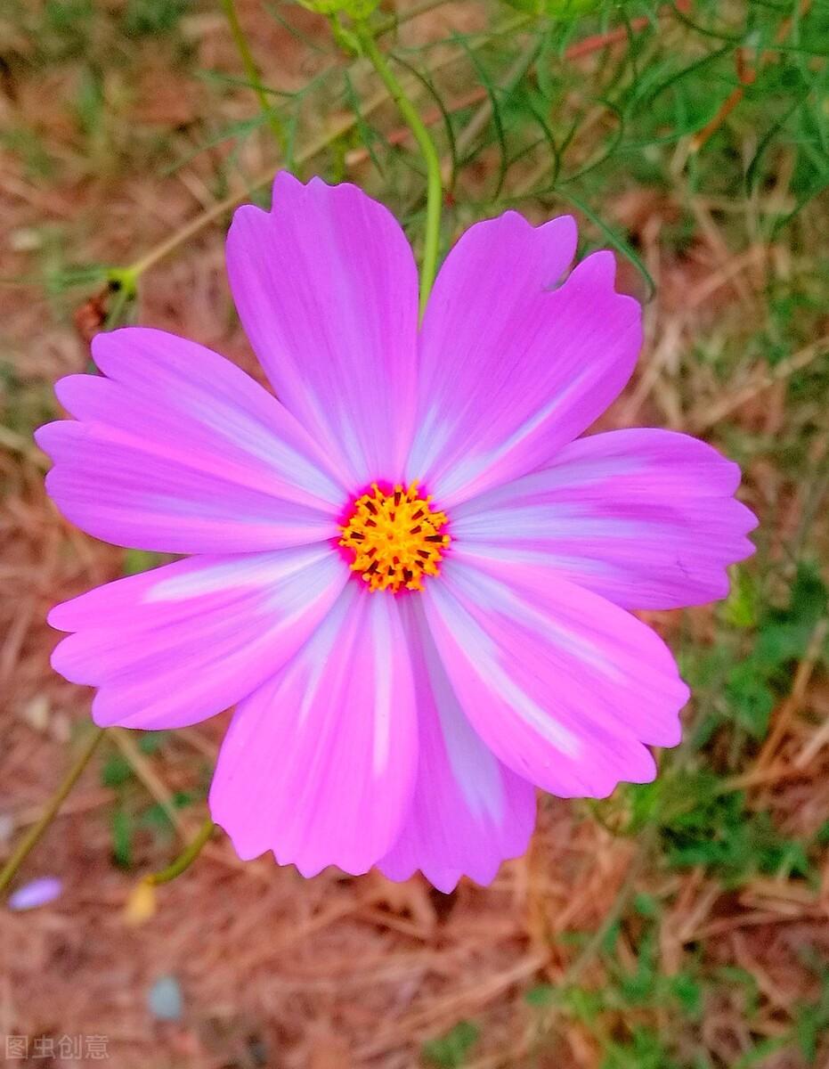 花自己的钱，才花的风光（激励自己的正能量文案）