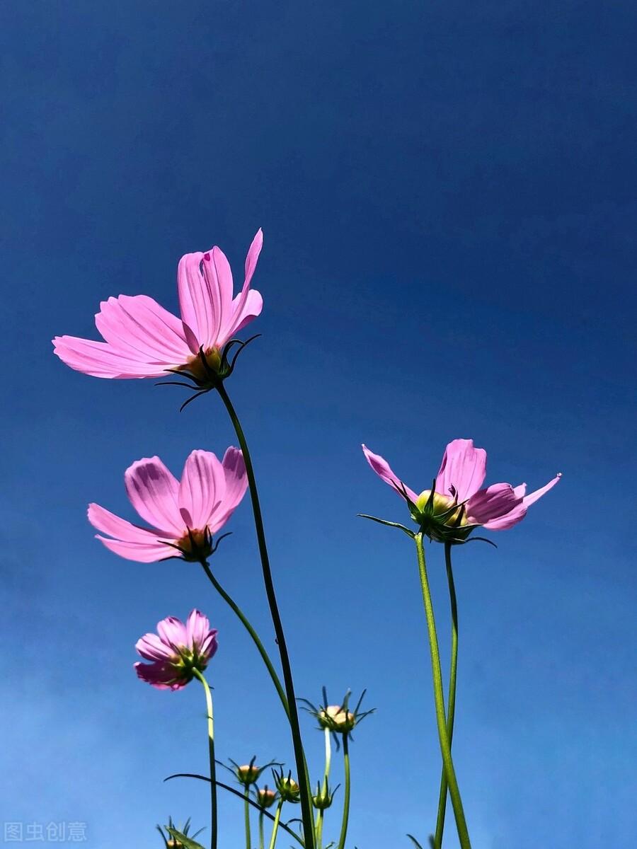 花自己的钱，才花的风光（激励自己的正能量文案）