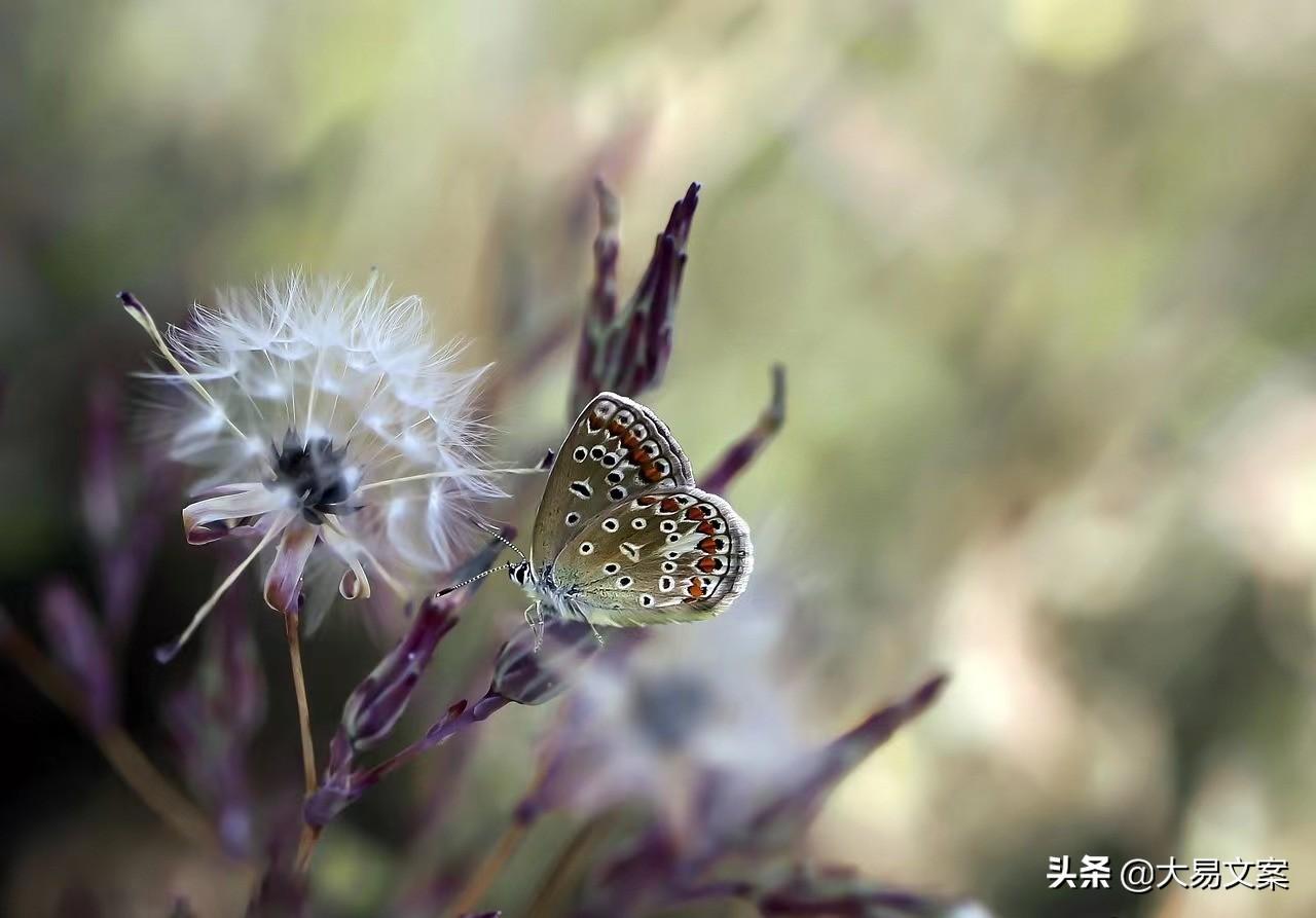 向前闯，直到海阔天空（表达正能量的励志句子）