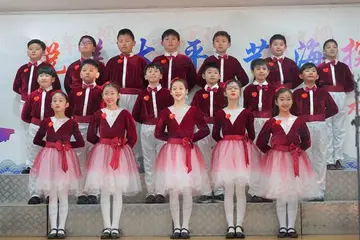 2022表达喜悦之情小学元旦宣传方案模板（富有年轻朝气小学元旦主题方案范本）