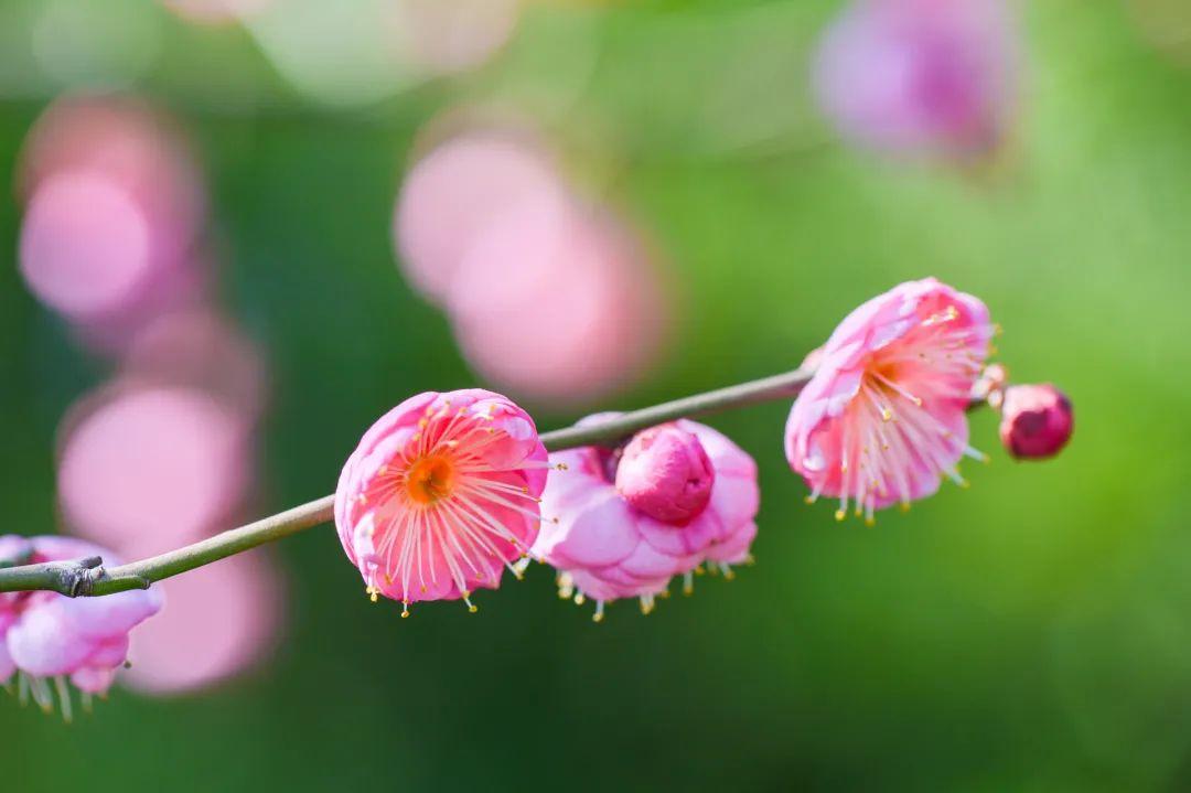 国学经典名言名句大全集（国学名言名句语录摘抄）