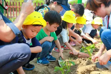 2022花红柳绿幼儿园春游活动策划书范文（草长莺飞幼儿园春游踏青策划案范例）