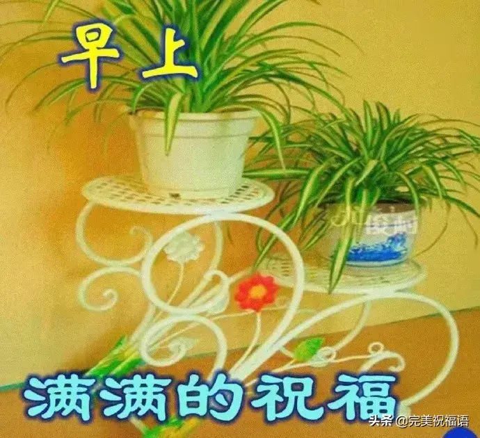 愿你笑口常开，开心每时每刻（8月早上问候语温馨句子）