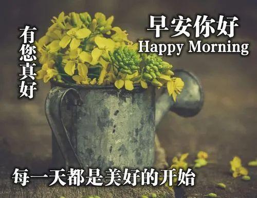 八月简短问候短句分享，八月暖心祝福语