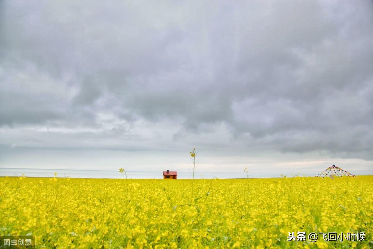 不管遇到了什么，都不能轻易认输（八月早安问候语）