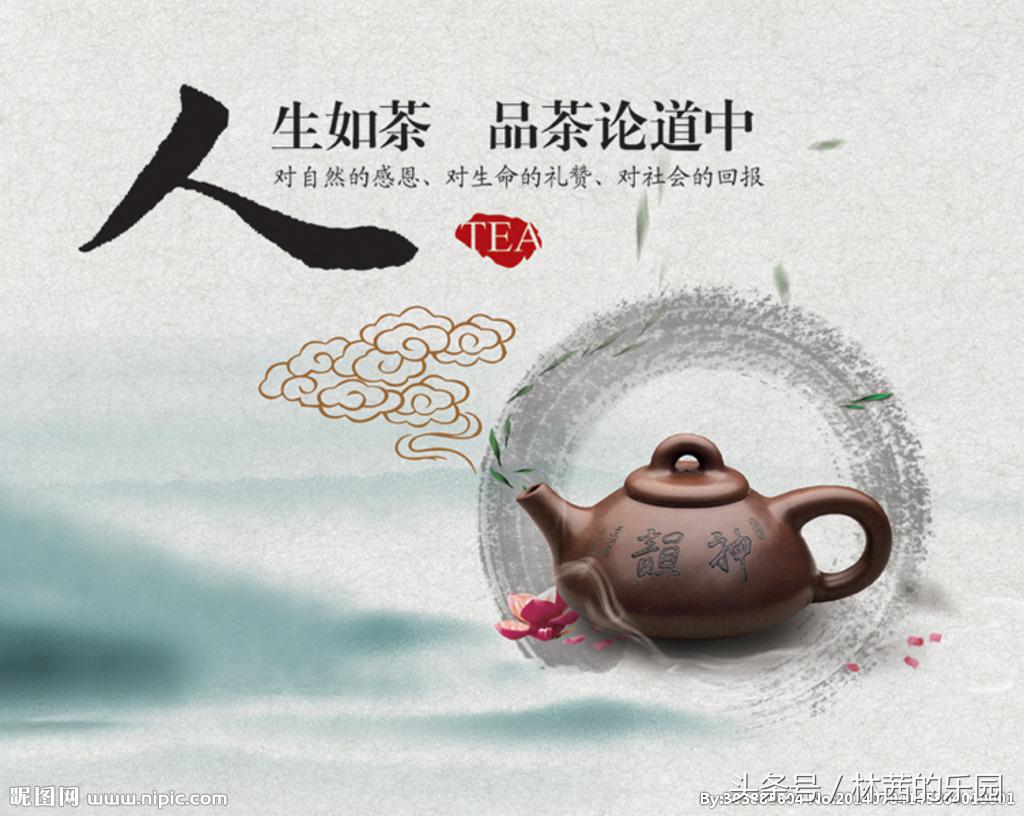 喝茶的诗句诗词大全（关于唯美的16首品茶诗词）