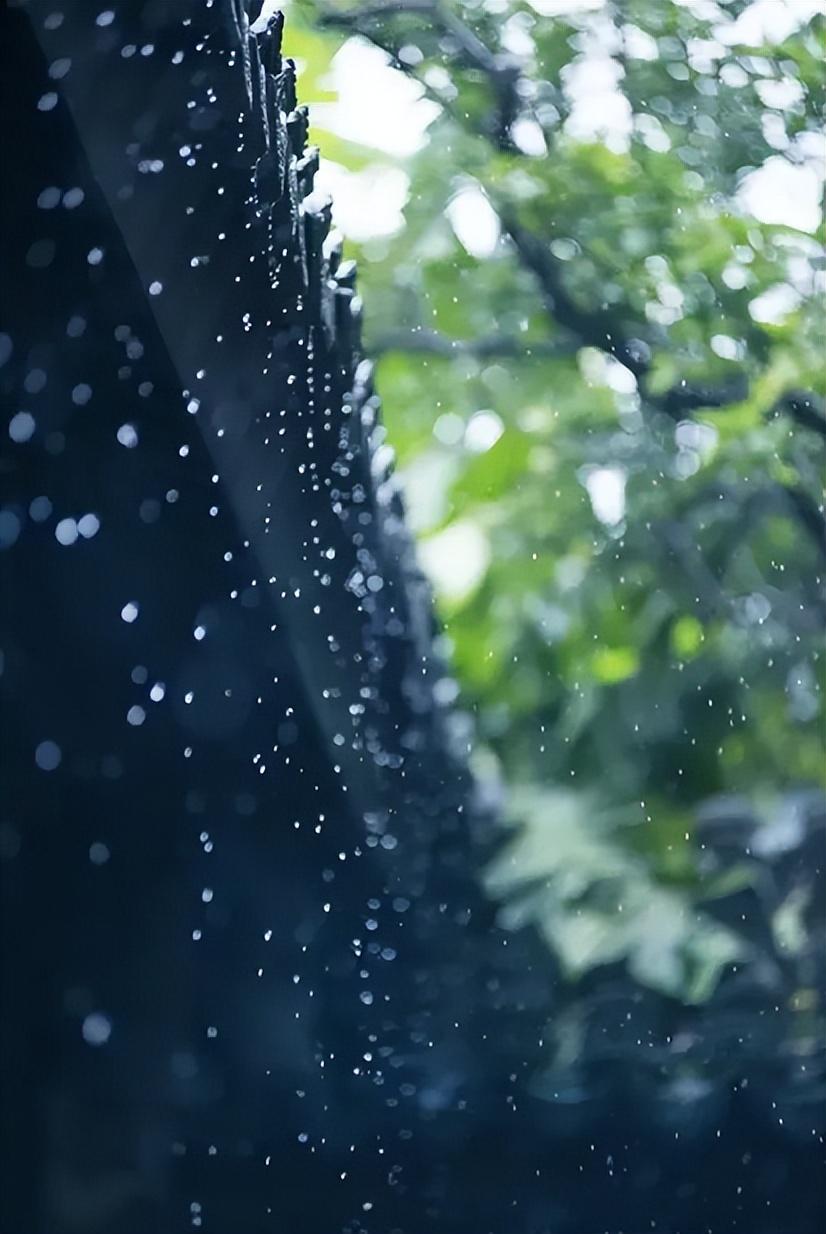 关于初夏雨的诗句（描写初夏雨天的经典古诗）