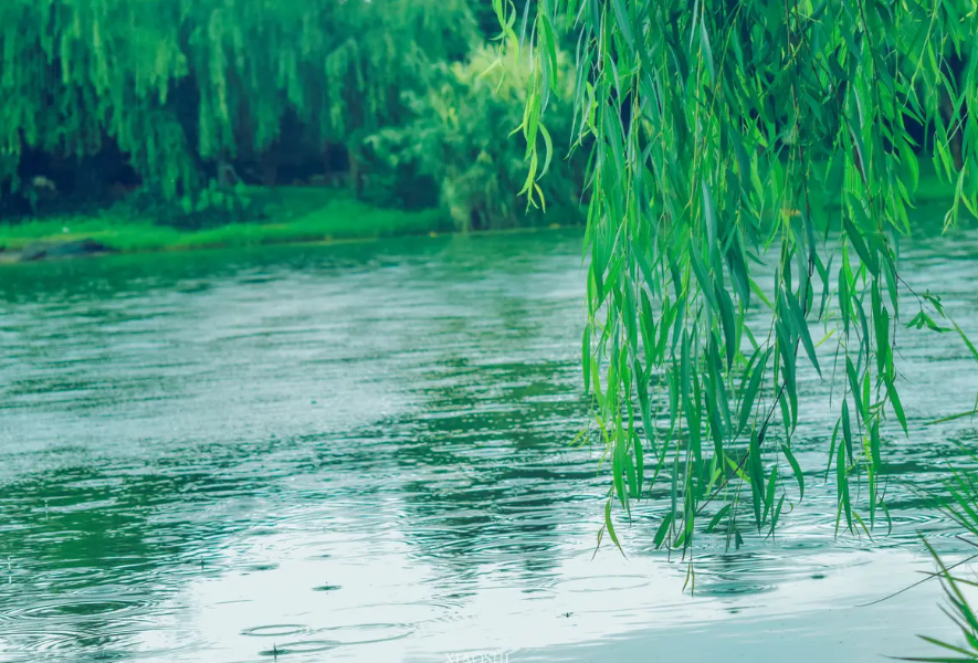 关于初夏雨的诗句（描写初夏雨天的经典古诗）