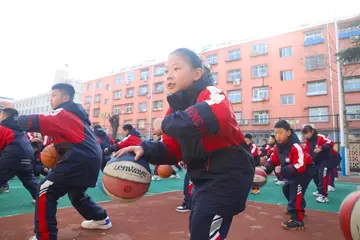 2022精心筹划小学篮球运动活动总结范文（赛前训练小学生篮球赛策划总结范例）