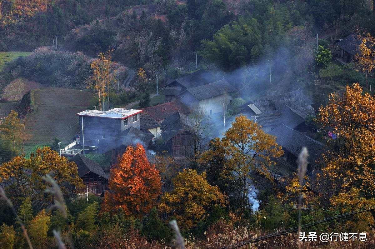 有关贾岛著名的诗词（幽奇寒僻的风格诗句）