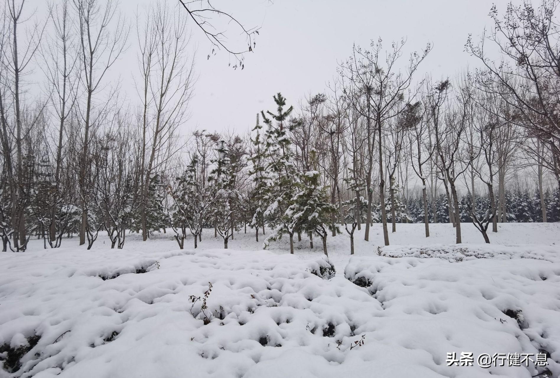 苏轼十二首著名诗词赏析（苏轼古诗大全）