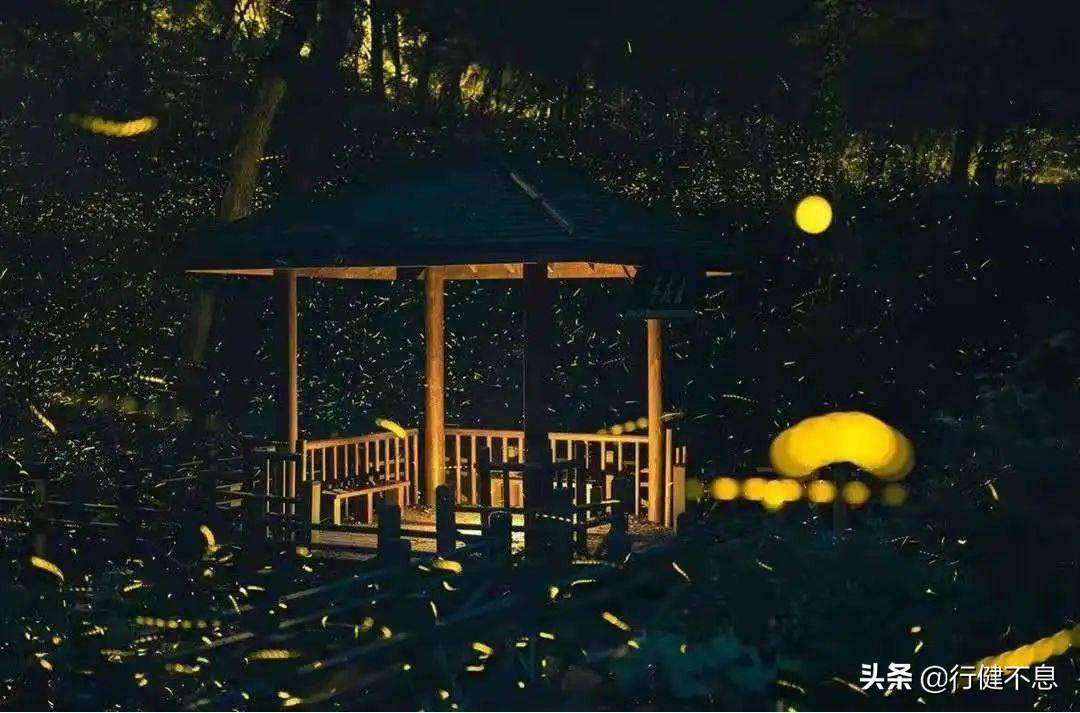 描写夏天的古诗名句（夏夜十二首著名诗词）