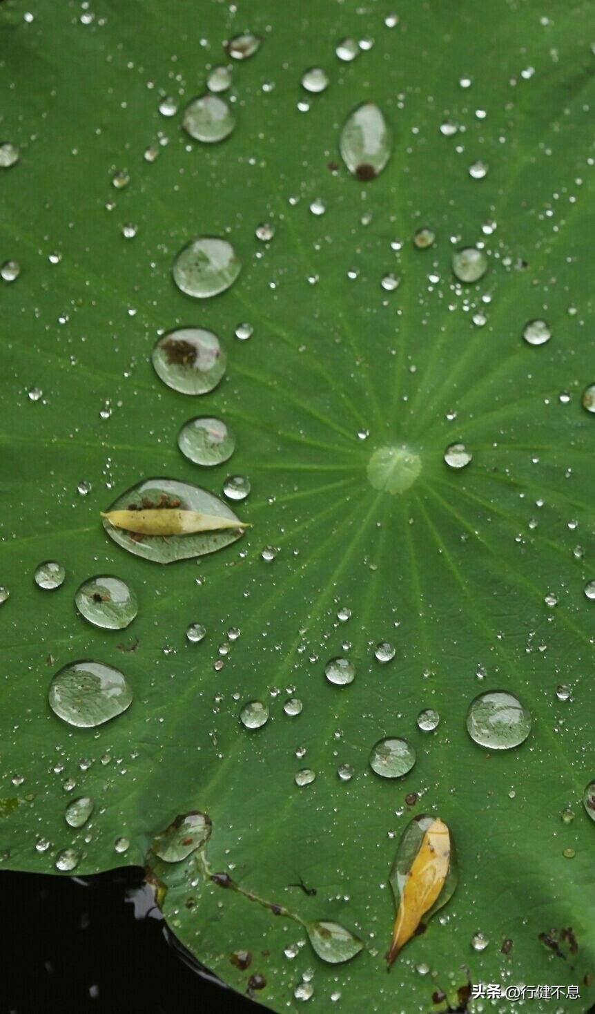 有关著名的十首夏雨诗词（聆听夏雨的诗句）