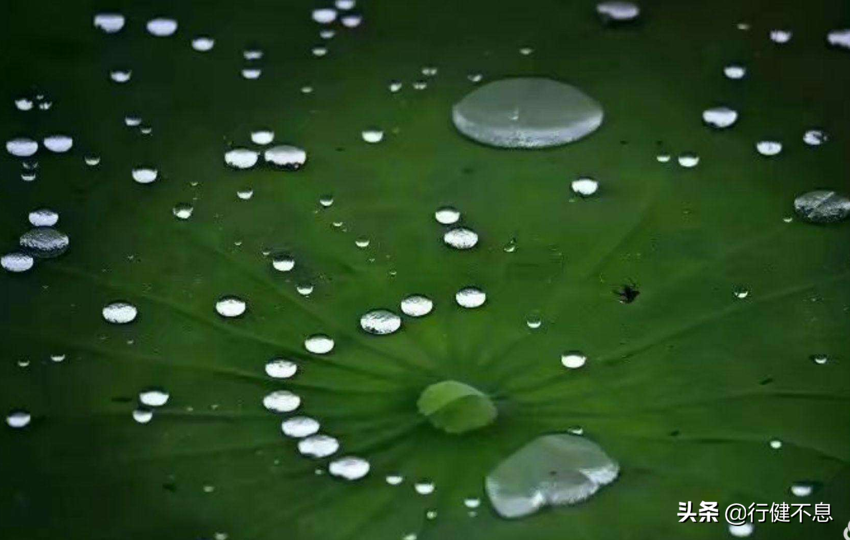 有关著名的十首夏雨诗词（聆听夏雨的诗句）