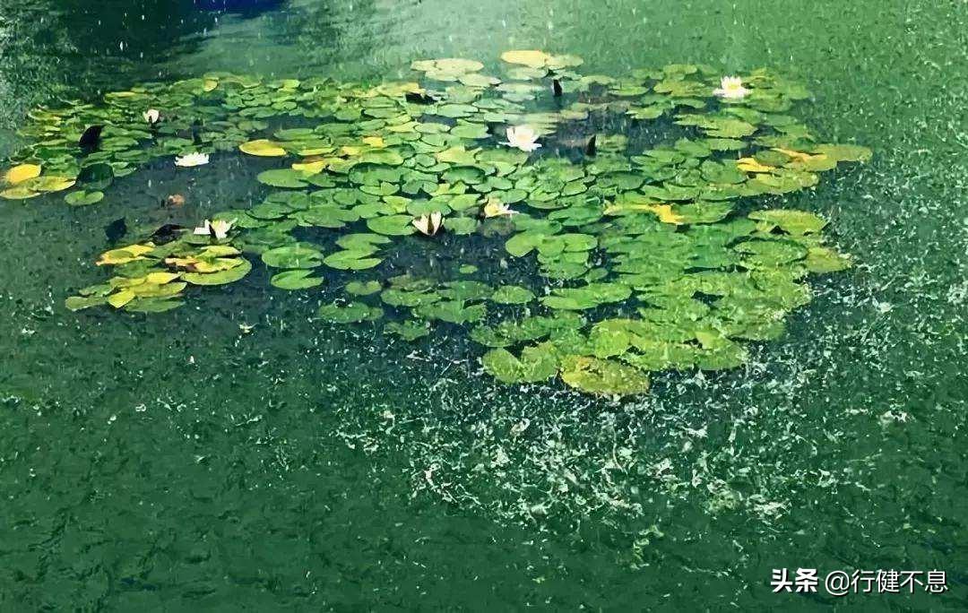 有关著名的十首夏雨诗词（聆听夏雨的诗句）