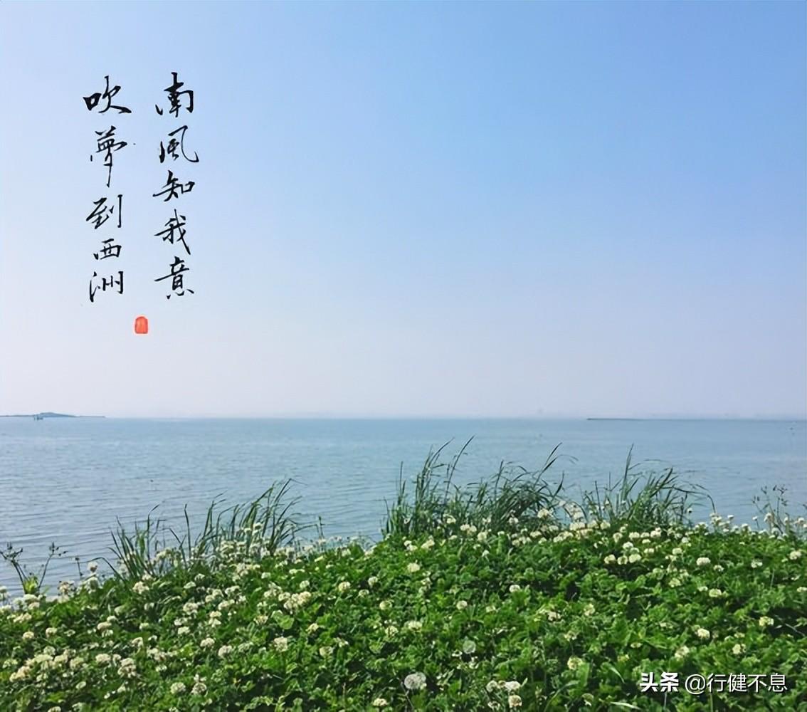 描写夏风的诗句古诗（夏风情怀的诗词）