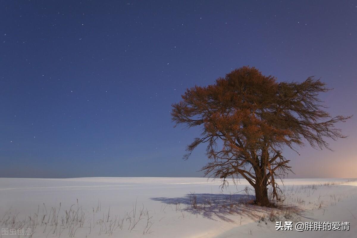 不为难自己，不辜负岁月（关于不负时光青春的句子）