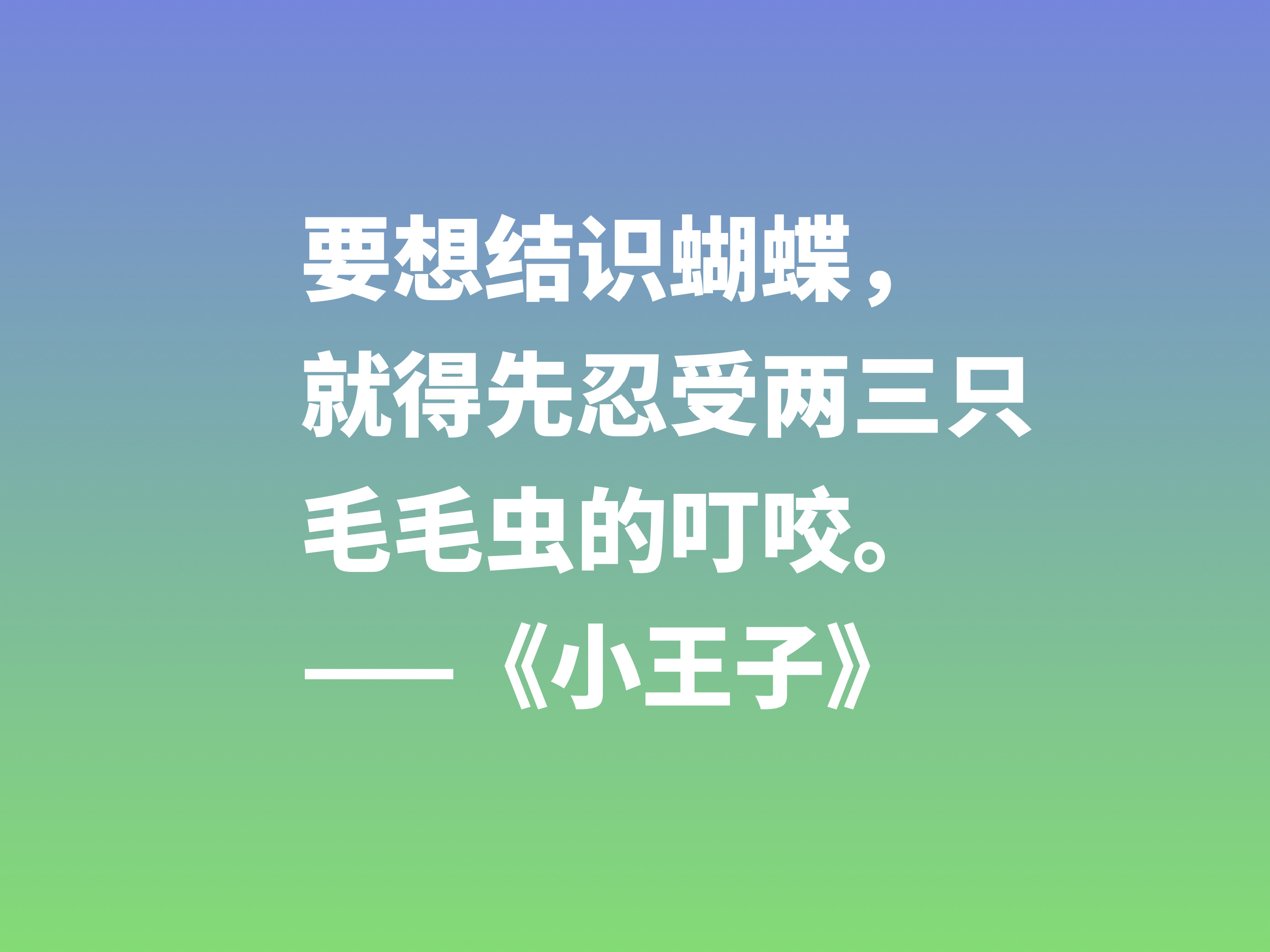 关于小王子经典语录及赏析（小王子好句摘抄及感悟）