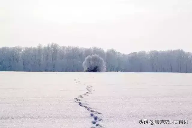 刘长卿的古诗大全（刘长卿的著名诗句）