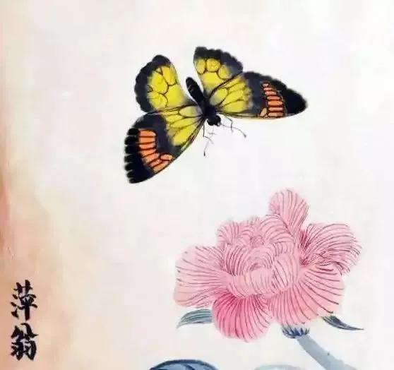 疏帘卷春晓，蝴蝶忽飞来（关于蝴蝶的优美诗词）